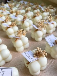 12 pecies of Candles