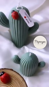 set of aloe vera candles