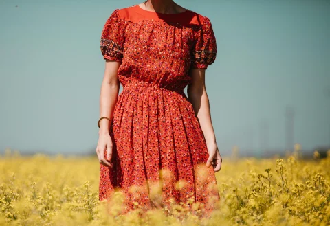 Women red casual dress